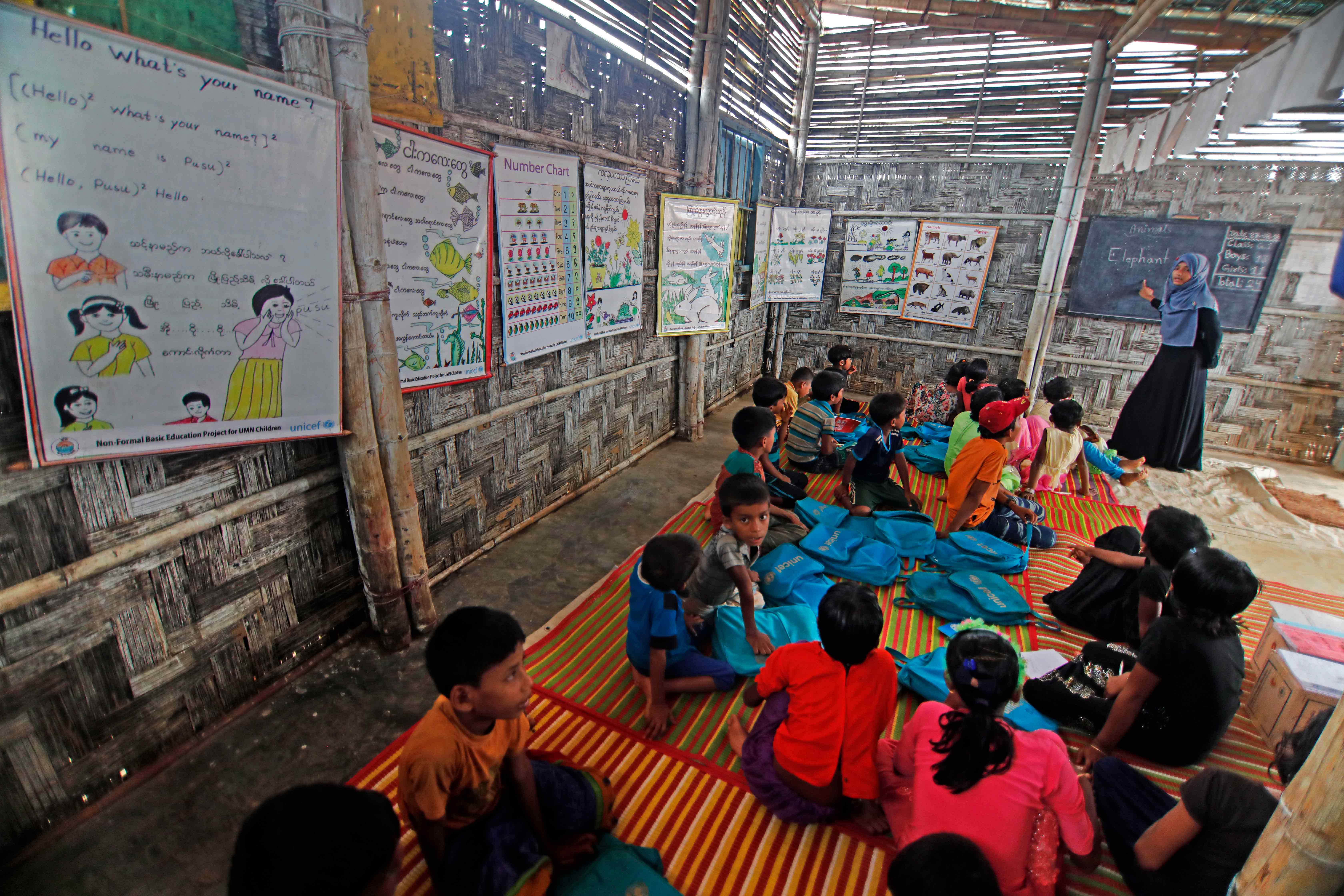 Rohingya Chronicles